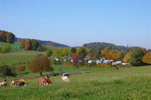 camping-park-hammelbach-grasellenbachhammelbach-z7k2u