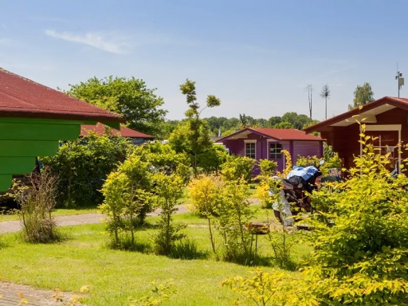 camping-de-harmienehoeve-winterswijk-k7yfn