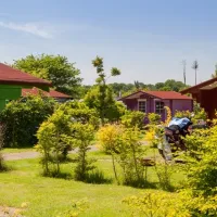 camping-de-harmienehoeve-winterswijk-k7yfn