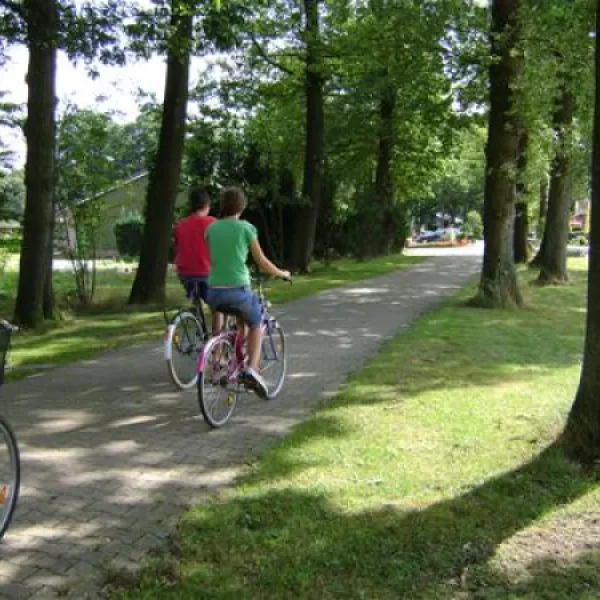 camping-de-harmienehoeve-winterswijk-ktlj4
