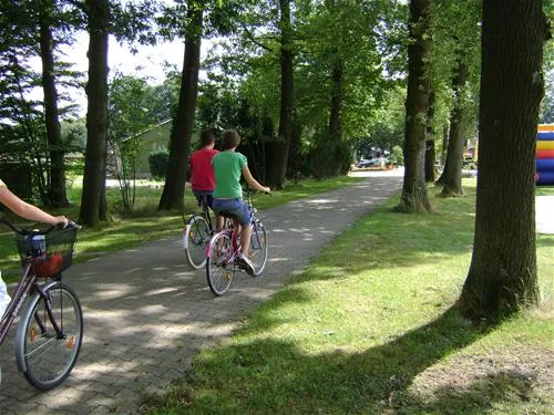 camping-de-harmienehoeve-winterswijk-lnqb3