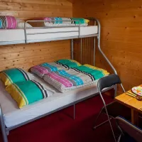 camping-de-harmienehoeve-winterswijk-qdqn2