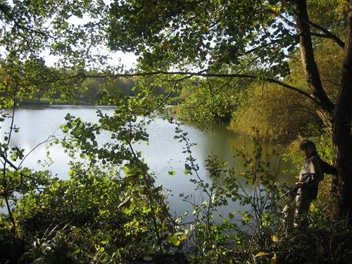 freizeitcamping-lain-am-see-georg-heider-e-k-taufkirchen-vils-zltcw