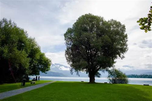 tcs-camping-thunersee-gwattthun-omozo