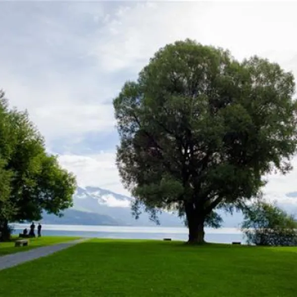 tcs-camping-thunersee-gwattthun-omozo