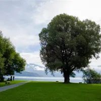 tcs-camping-thunersee-gwattthun-omozo