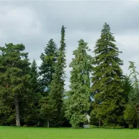 tcs-camping-thunersee-gwattthun-uv686