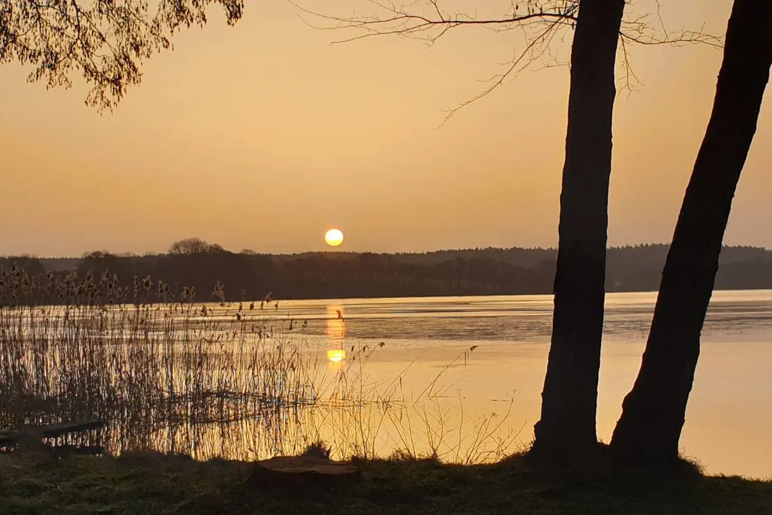 nfp-natur-und-ferienpark-am-gross-labenzer-see-klein-labenz-1omfn
