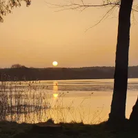 nfp-natur-und-ferienpark-am-gross-labenzer-see-klein-labenz-1omfn