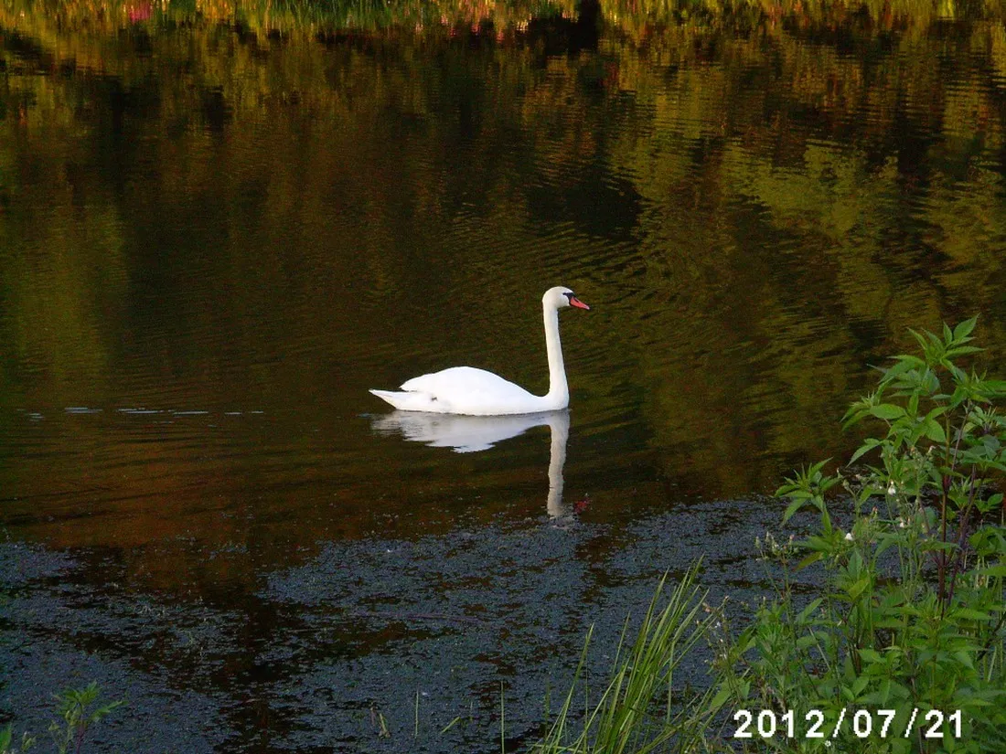 camping-du-barrage-rosport-f4yrv
