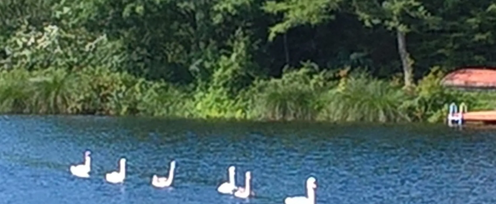 Camping du Barrage