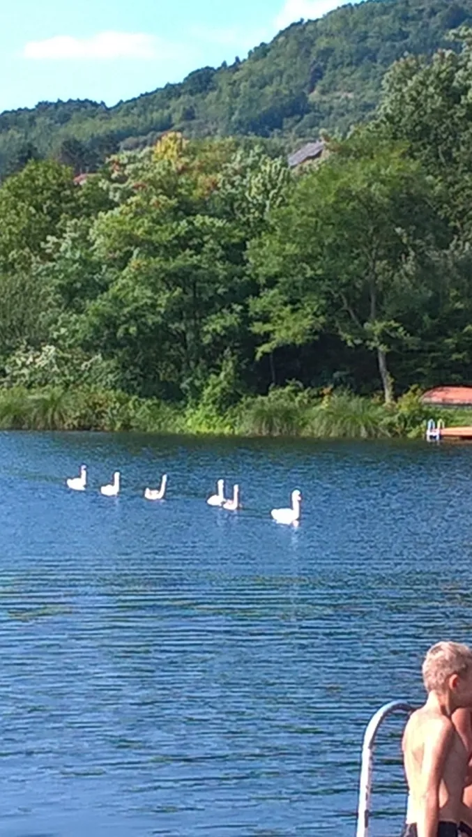 camping-du-barrage-rosport-fvaxj