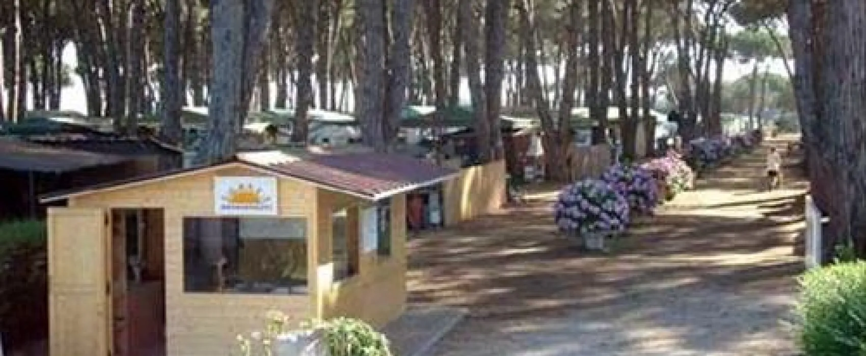 Sunset Camping Club