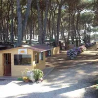 Sunset Camping Club
