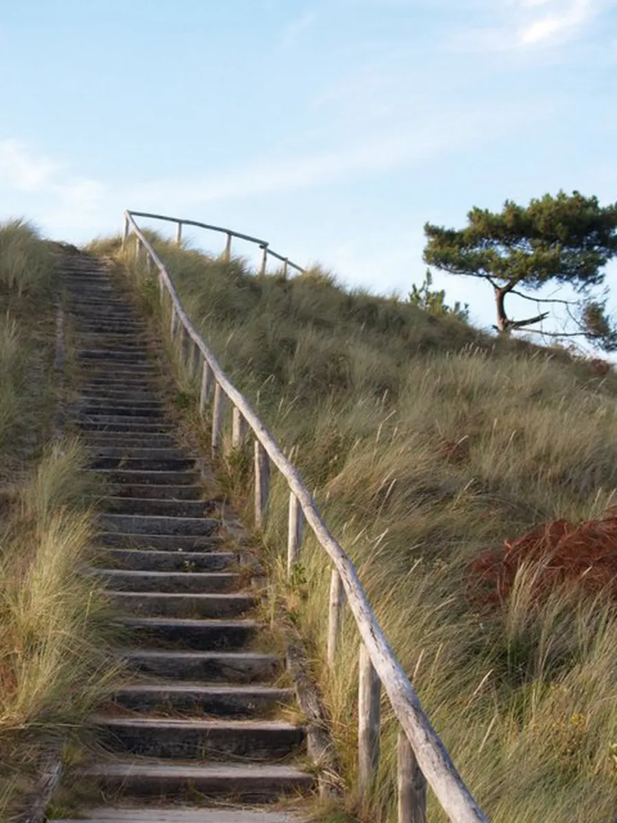 camping-de-kooi-terschelling-hee-9uwev