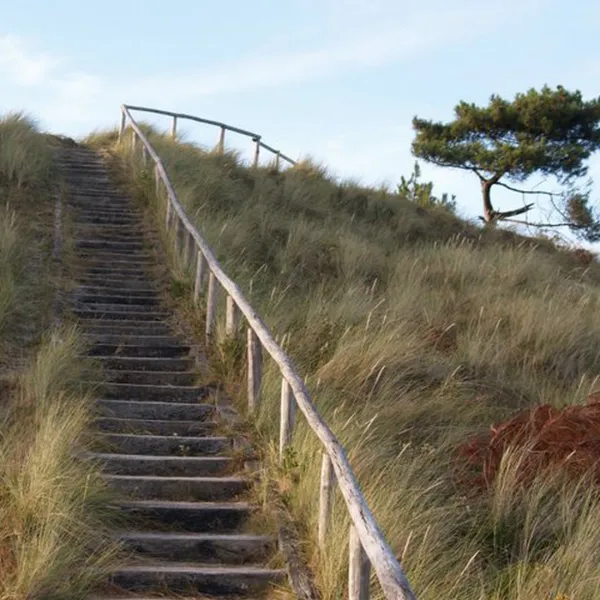 camping-de-kooi-terschelling-hee-9uwev