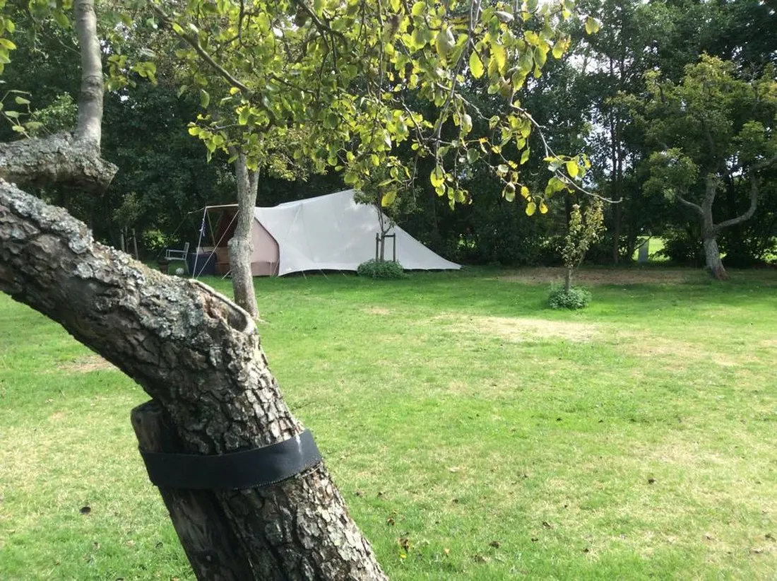 camping-de-kooi-terschelling-hee-u7ym7