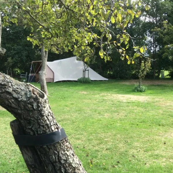 camping-de-kooi-terschelling-hee-u7ym7