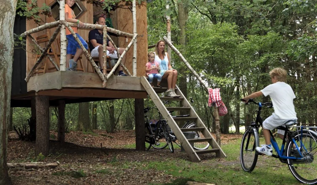camping-torentjeshoek-dwingeloo-t2imt
