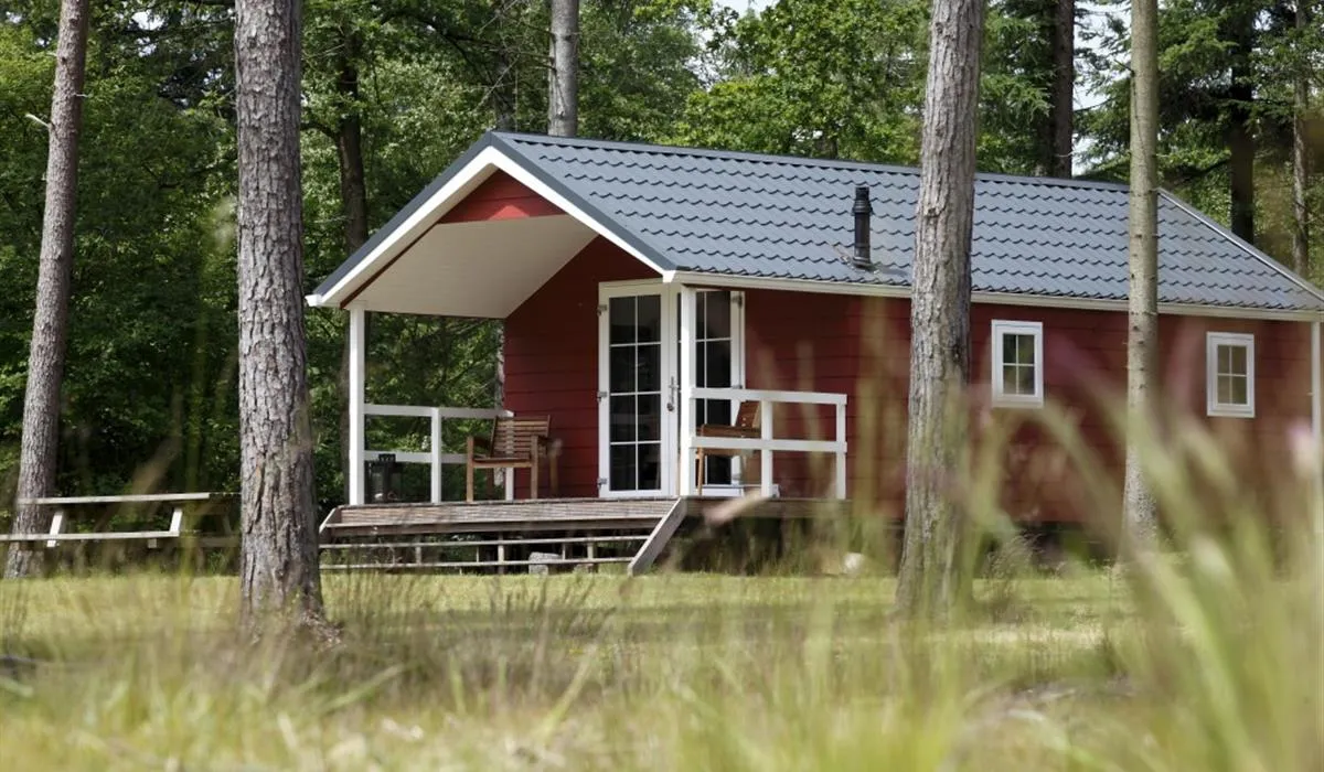 camping-torentjeshoek-dwingeloo-y7oqz