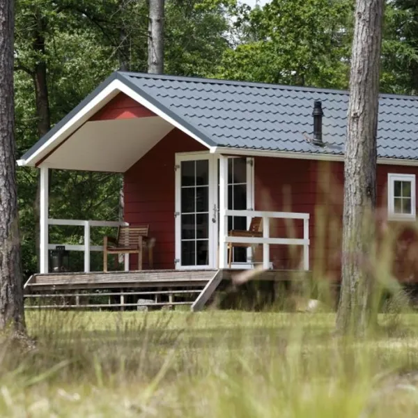 camping-torentjeshoek-dwingeloo-y7oqz
