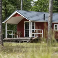 camping-torentjeshoek-dwingeloo-y7oqz
