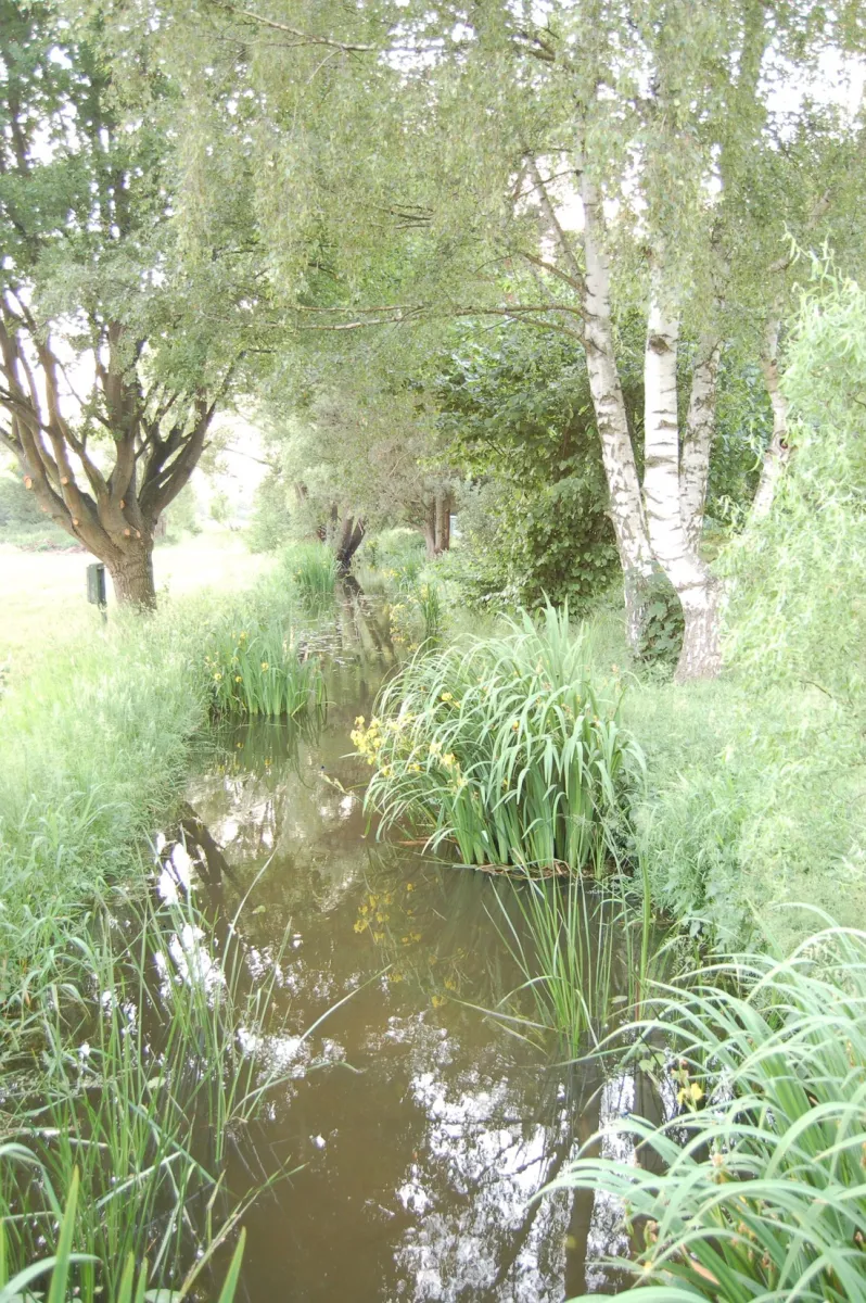 campingallerleinetal-esselengehausen-ycqag