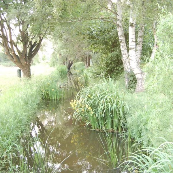 campingallerleinetal-esselengehausen-ycqag