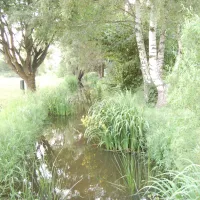 campingallerleinetal-esselengehausen-ycqag
