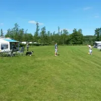 molecaten-park-flevostrand-biddinghuizen-60lsr