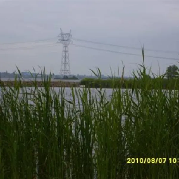molecaten-park-flevostrand-biddinghuizen-esao8