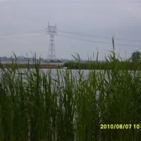 molecaten-park-flevostrand-biddinghuizen-esao8