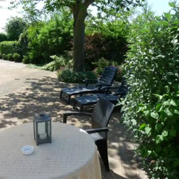 mini-camping-korenbloem-vrouwenpolder-arryk