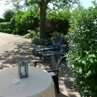 mini-camping-korenbloem-vrouwenpolder-arryk