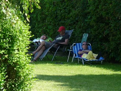 mini-camping-korenbloem-vrouwenpolder-dshiz