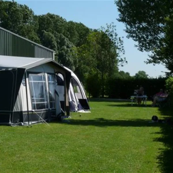 Mini Camping Korenbloem