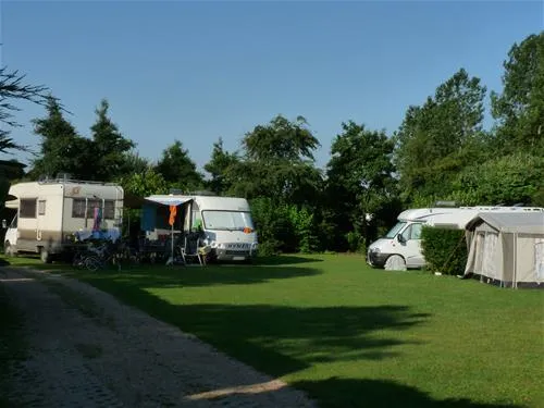 mini-camping-korenbloem-vrouwenpolder-qvjwc