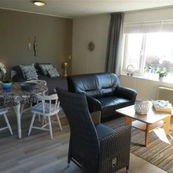 mini-camping-korenbloem-vrouwenpolder-tl3i4
