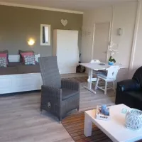 mini-camping-korenbloem-vrouwenpolder-vcouk
