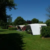 Mini Camping Korenbloem