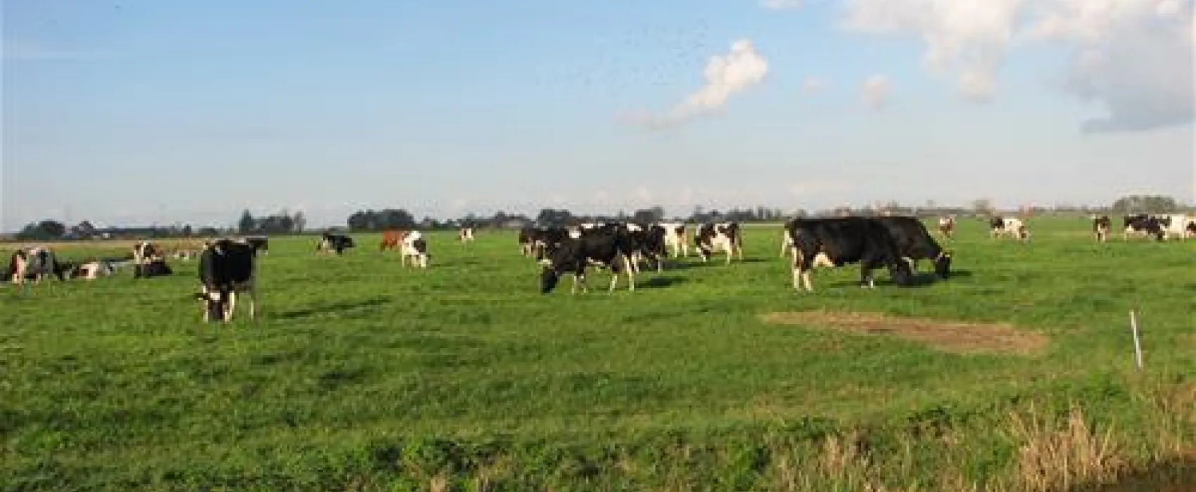 Camping de Veenborg