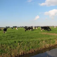 camping-de-veenborg-kolham-j05iy