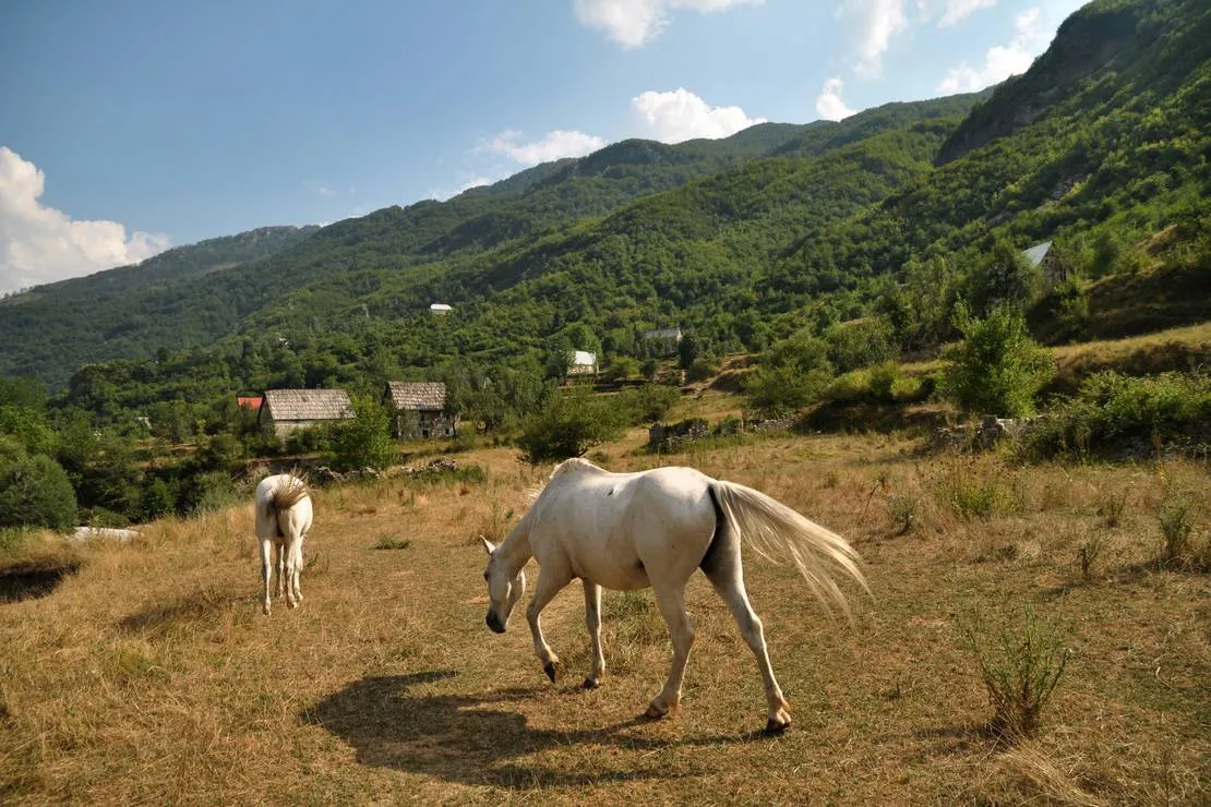 curraj-i-eperm-summer-camping-curraj-i-eperm-ehq5t