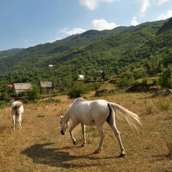 curraj-i-eperm-summer-camping-curraj-i-eperm-ehq5t