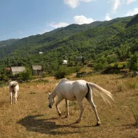 curraj-i-eperm-summer-camping-curraj-i-eperm-ehq5t