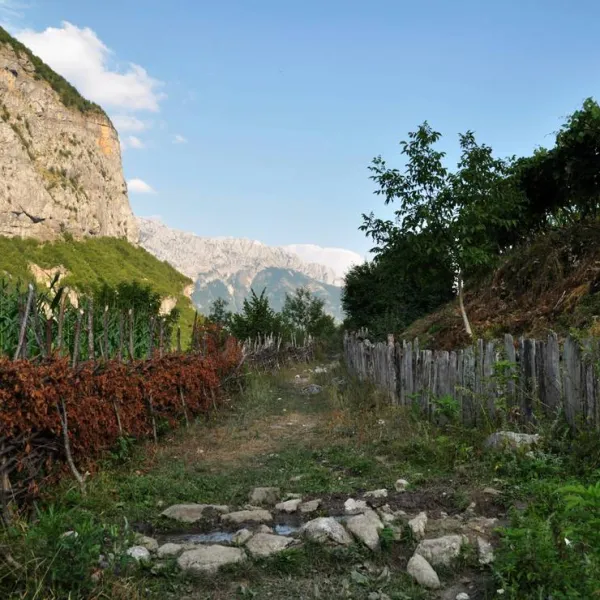 curraj-i-eperm-summer-camping-curraj-i-eperm-smubt