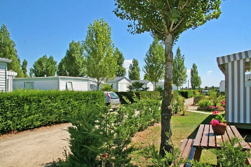 camping-le-cottage-fleuri-la-tranche-sur-mer-h2rik