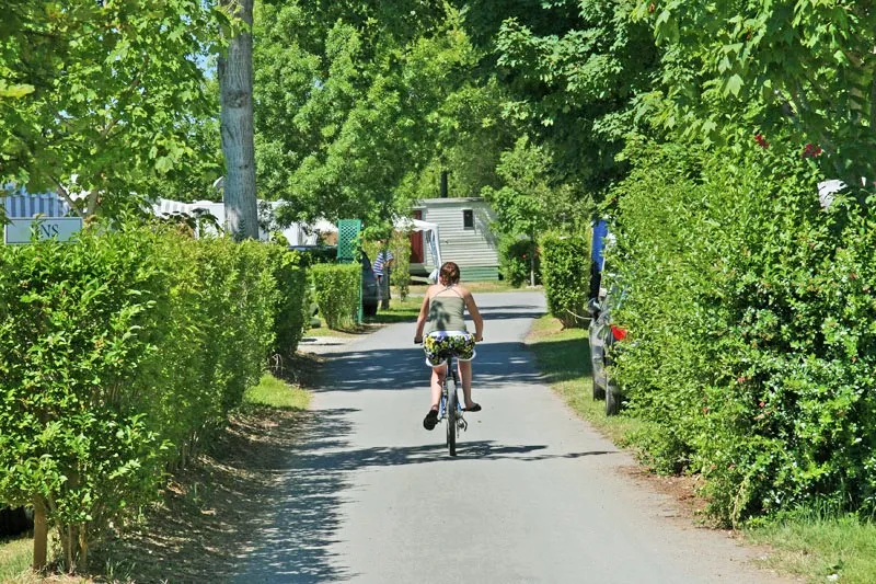 camping-le-cottage-fleuri-la-tranche-sur-mer-jvpip