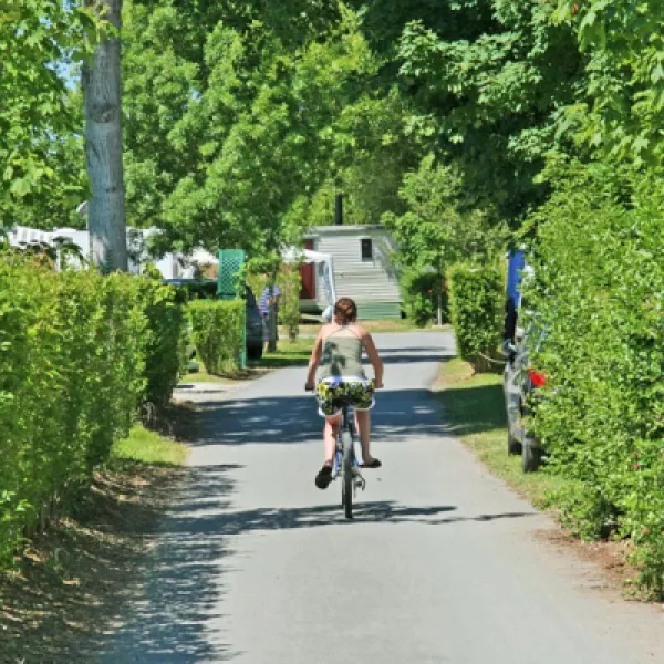 camping-le-cottage-fleuri-la-tranche-sur-mer-jvpip