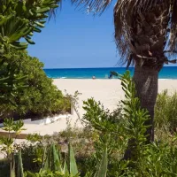 camping-gavina-creixell-cfptn